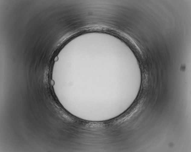 X0000116310778201001111137