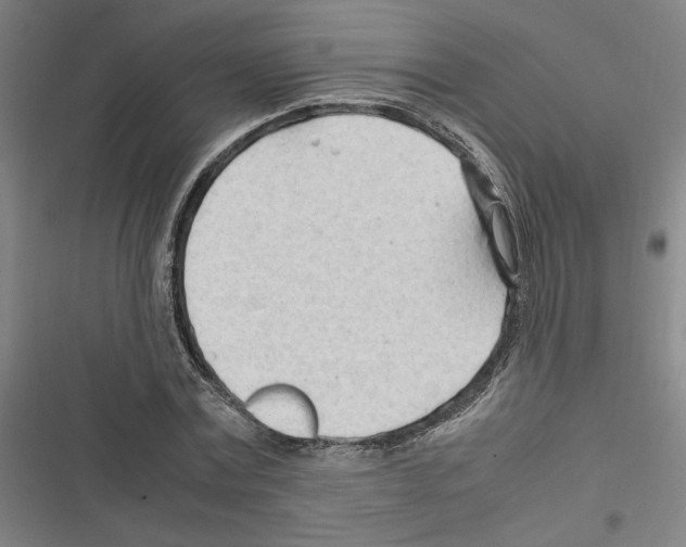 X0000116310779201001111137