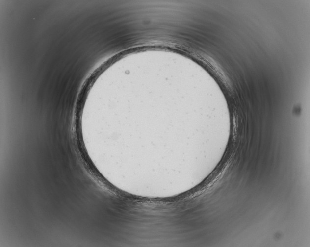 X0000116310780201001111137