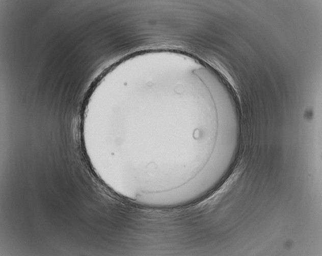 X0000116310781201001111137