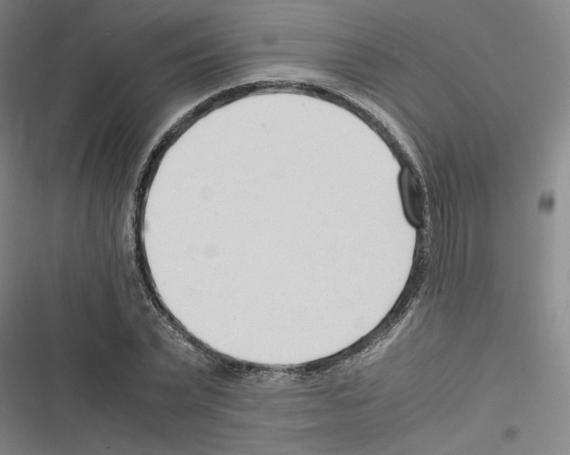 X0000116310783201001111137