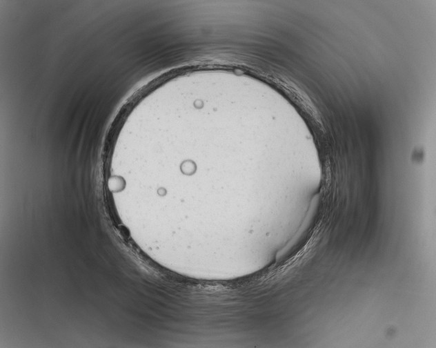 X0000116310784201001111137