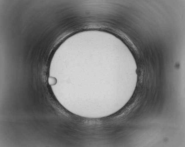 X0000116310786201001111137