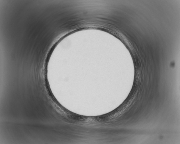 X0000116310787201001111137