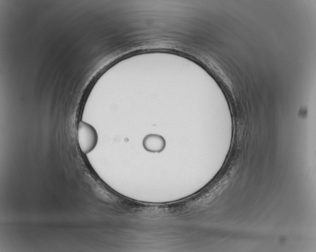 X0000116310789201001111137