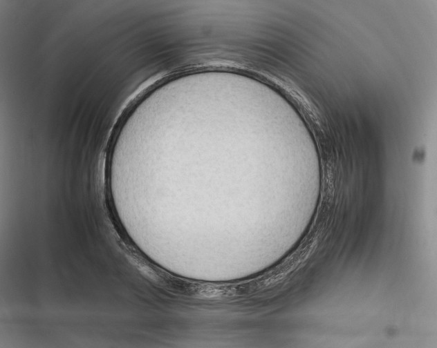 X0000116310790201001111137