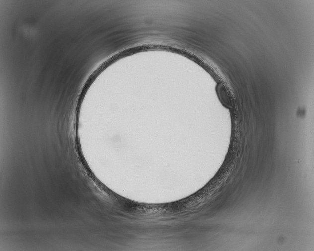 X0000116310791201001111137