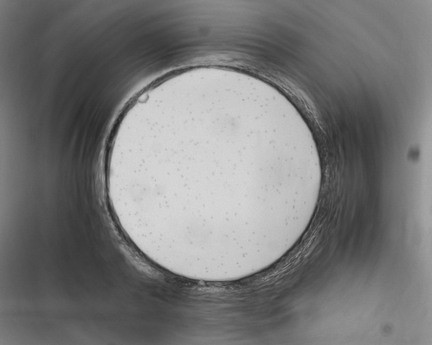 X0000116310792201001111137