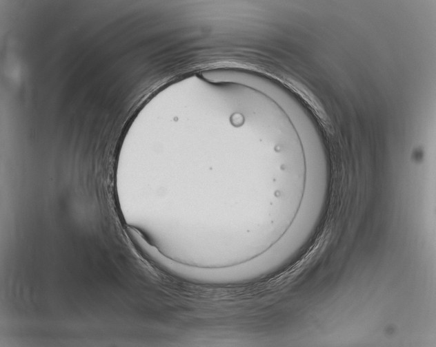 X0000116310793201001111137