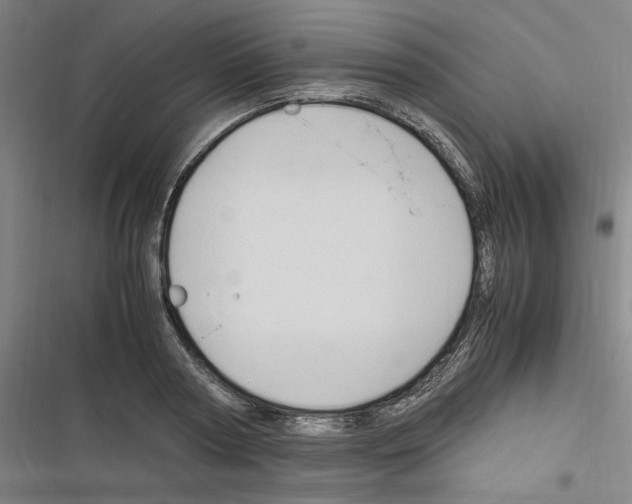 X0000116310794201001111137