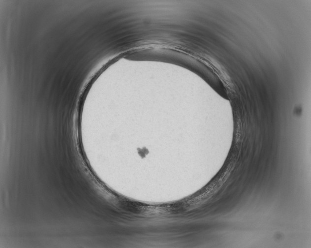 X0000116310796201001111137