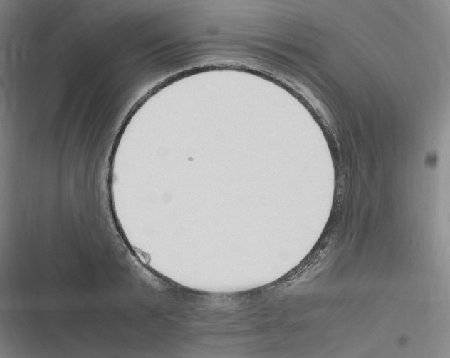 X0000116310799201001111137