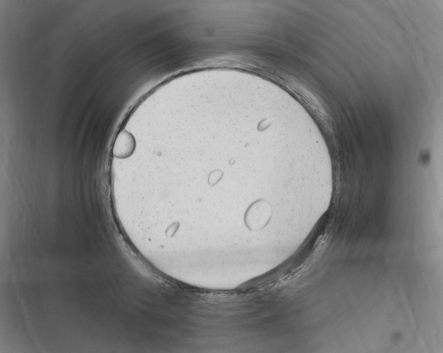 X0000116310800201001111137