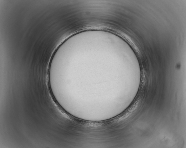 X0000116310802201001111137