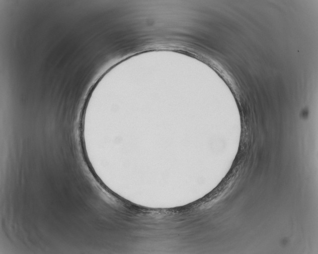 X0000116310803201001111137