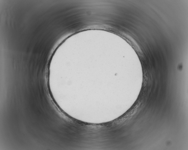 X0000116310804201001111137