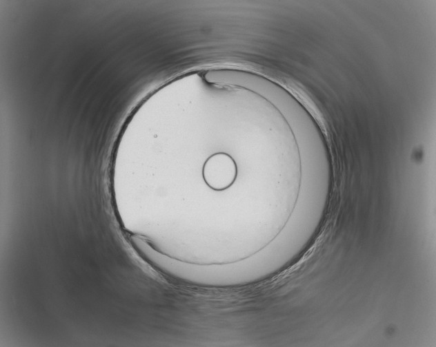 X0000116310805201001111137