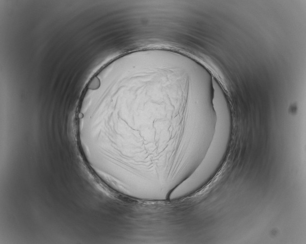 X0000116310806201001111137