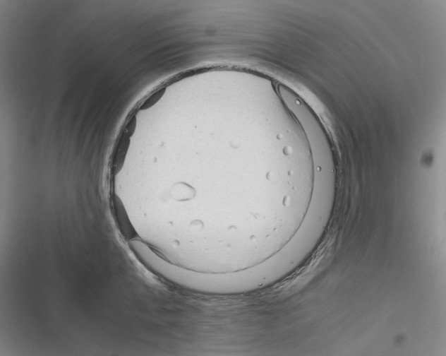 X0000116310807201001111137