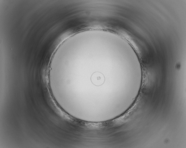 X0000116310810201001111137