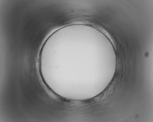 X0000116310811201001111137