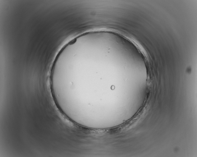 X0000116310813201001111137