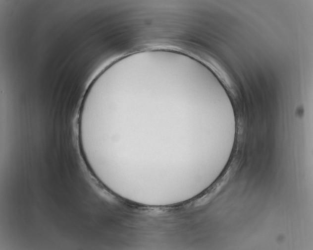 X0000116310814201001111137