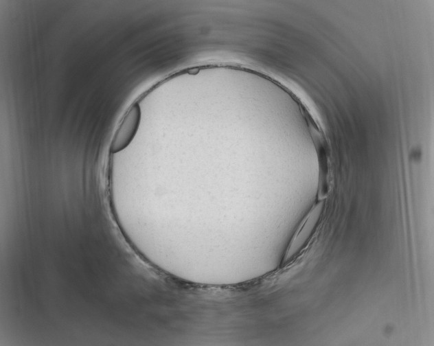 X0000116310815201001111137