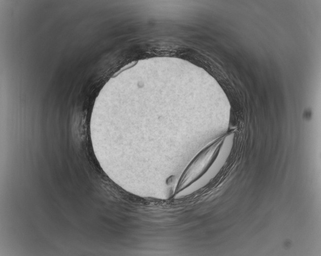 X0000116310818201001111136