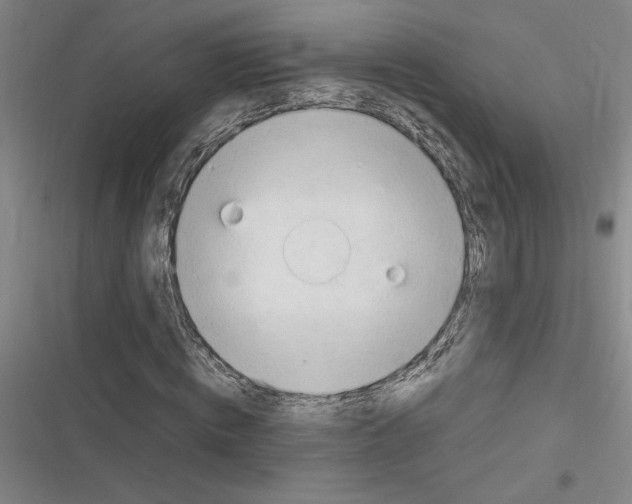 X0000116310820201001111136