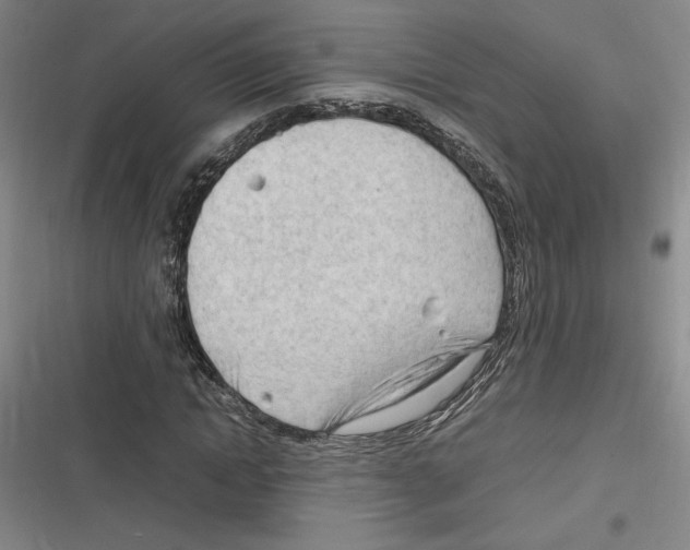 X0000116310822201001111136