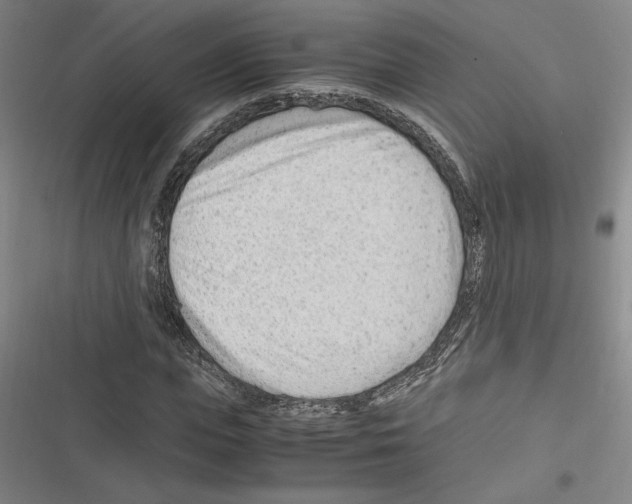 X0000116310823201001111136