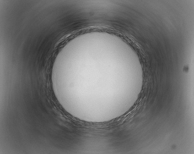 X0000116310824201001111136