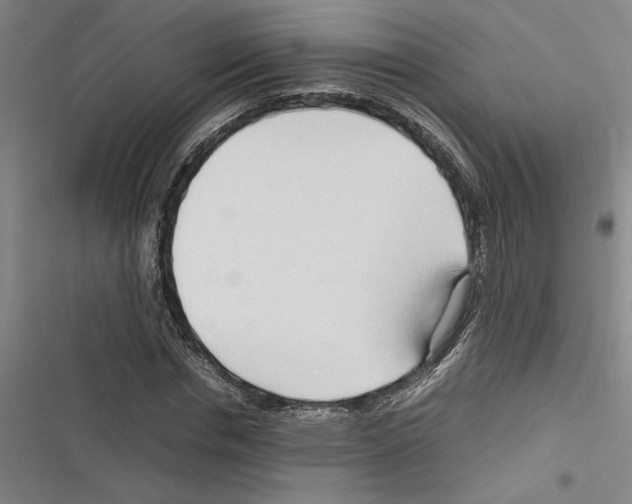 X0000116310826201001111136