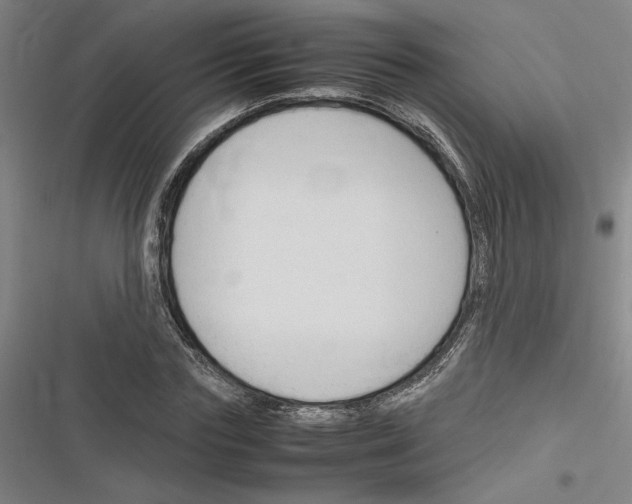 X0000116310827201001111136