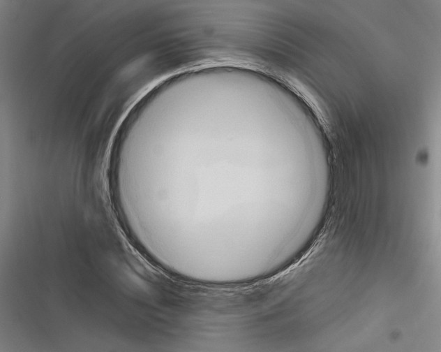 X0000116310828201001111136