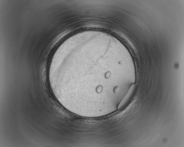 X0000116310829201001111136