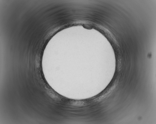 X0000116310833201001111136