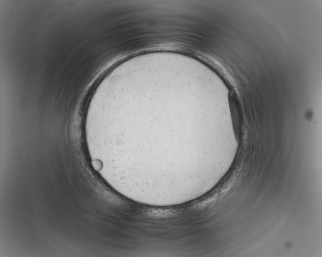 X0000116310835201001111136