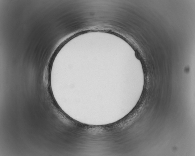 X0000116310838201001111136