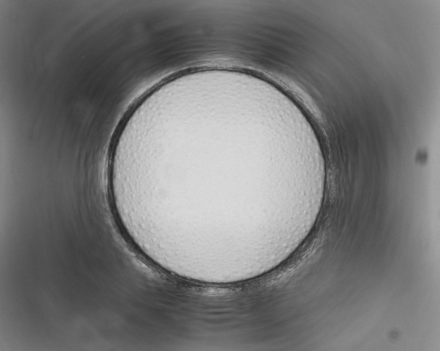 X0000116310839201001111136