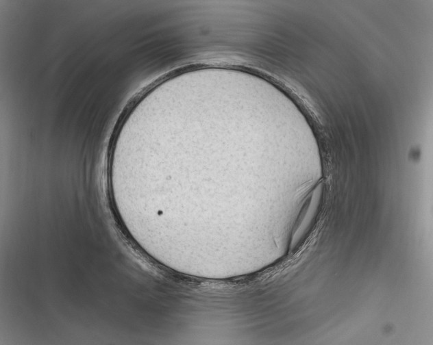 X0000116310840201001111136