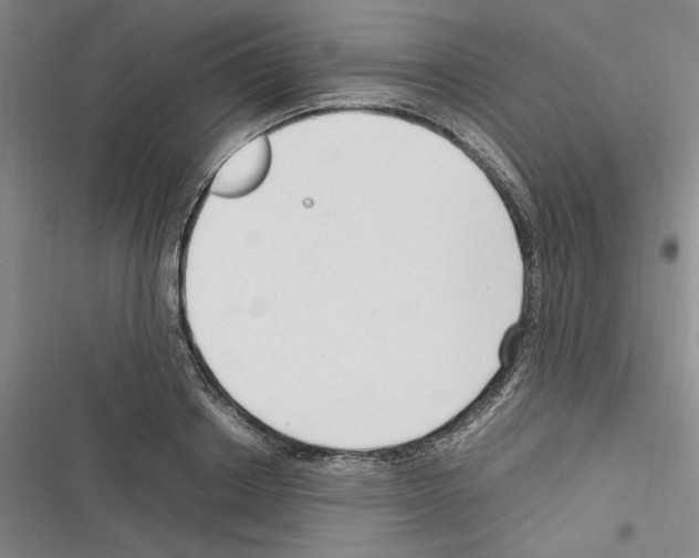 X0000116310842201001111137