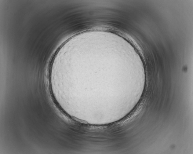 X0000116310843201001111137