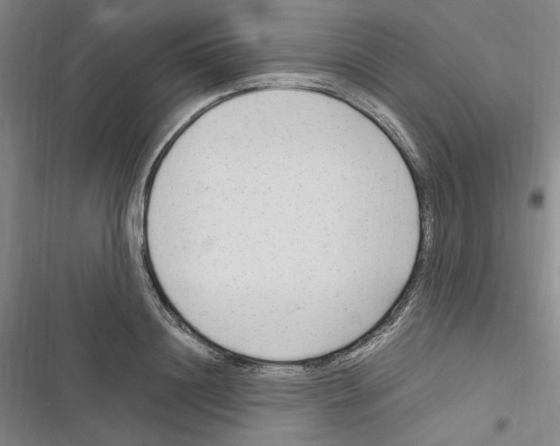 X0000116310844201001111137