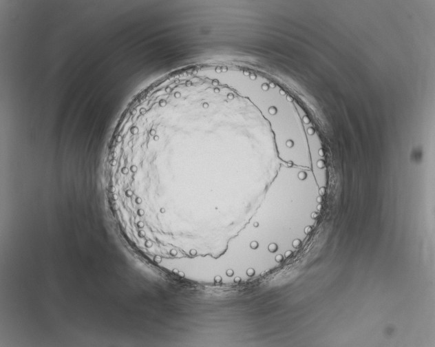 X0000116310848201001111137