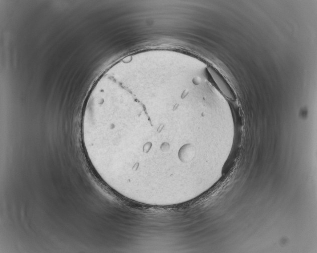 X0000116310850201001111137