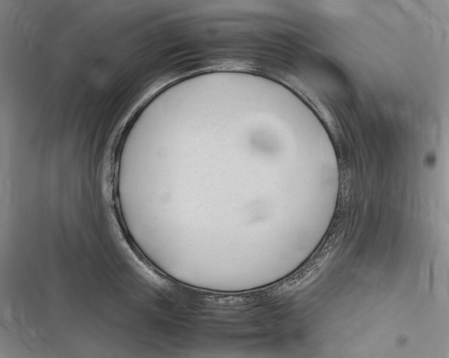 X0000116310851201001111137