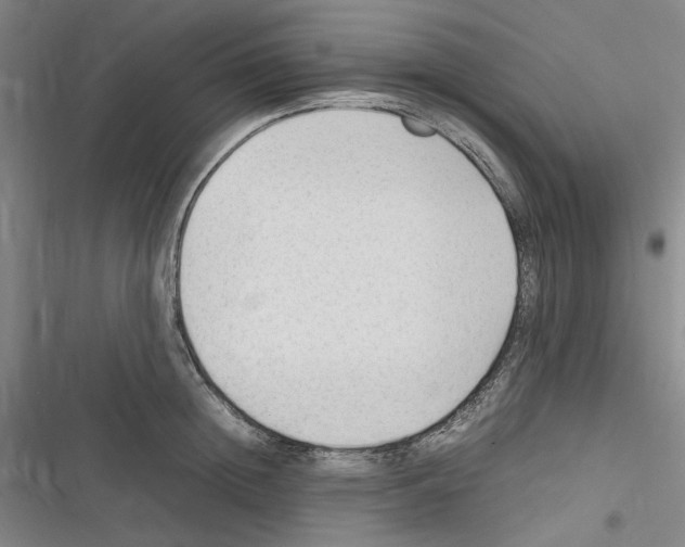 X0000116310852201001111137