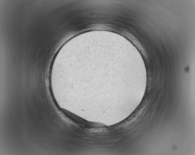 X0000116310853201001111137